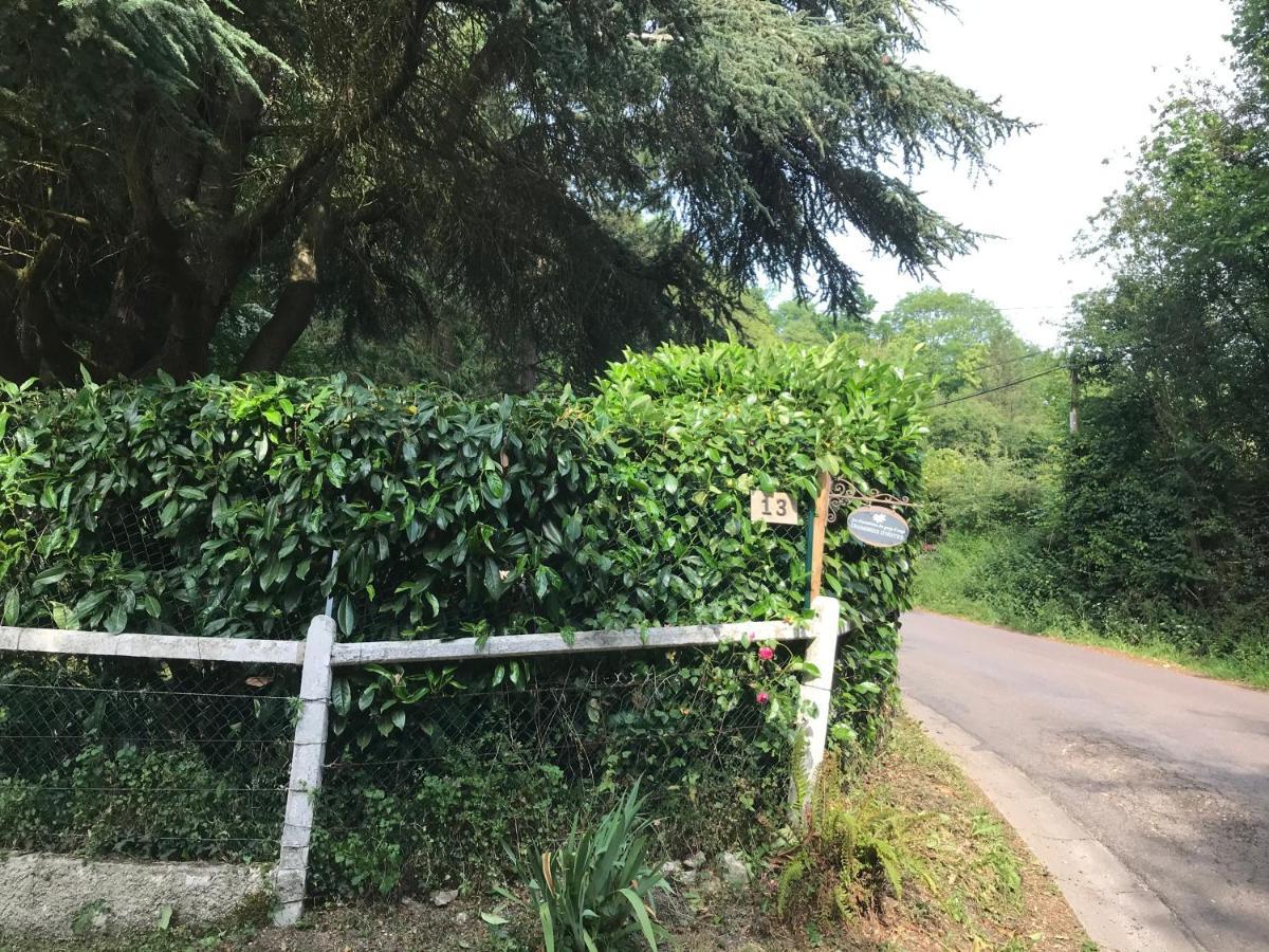 Bed and Breakfast Les Chaumieres Du Pays D'Auge Le Breuil-en-Auge Exterior foto